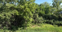 4802 NE 86th Terrace, Kansas City, MO 64156