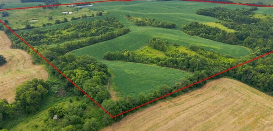 14765 Ode Road, Platte City, MO 64079