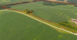 14765 Ode Road, Platte City, MO 64079