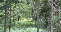 19607 Fightmaster Road, Trimble, MO 64492