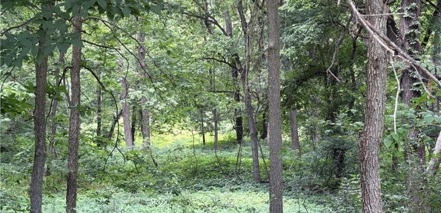 19607 Fightmaster Road, Trimble, MO 64492