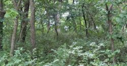 19607 Fightmaster Road, Trimble, MO 64492
