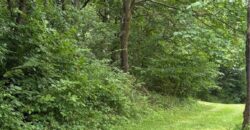 19607 Fightmaster Road, Trimble, MO 64492