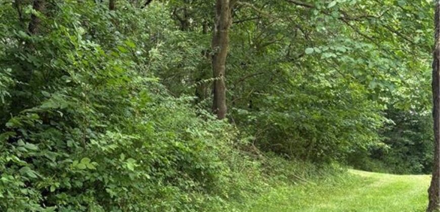 19607 Fightmaster Road, Trimble, MO 64492