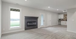 17507 Grey Hawke Ridge, Smithville, MO 64089