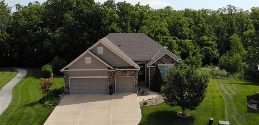 13365 N Silver Ridge Drive, Platte City, MO 64079