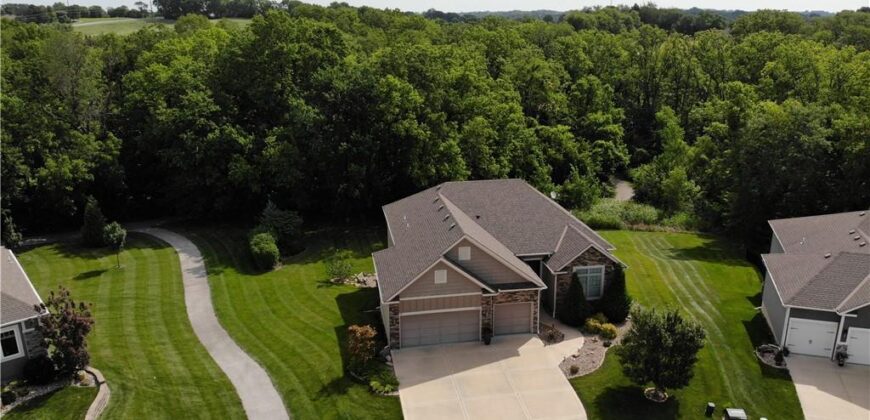 13365 N Silver Ridge Drive, Platte City, MO 64079