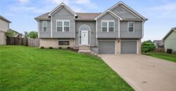 905 NW 112th Terrace, Kansas City, MO 64155