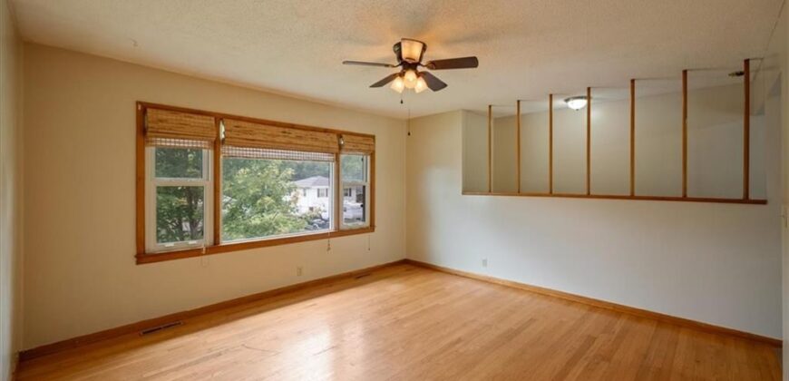 127 Collette Street, Excelsior Springs, MO 64024