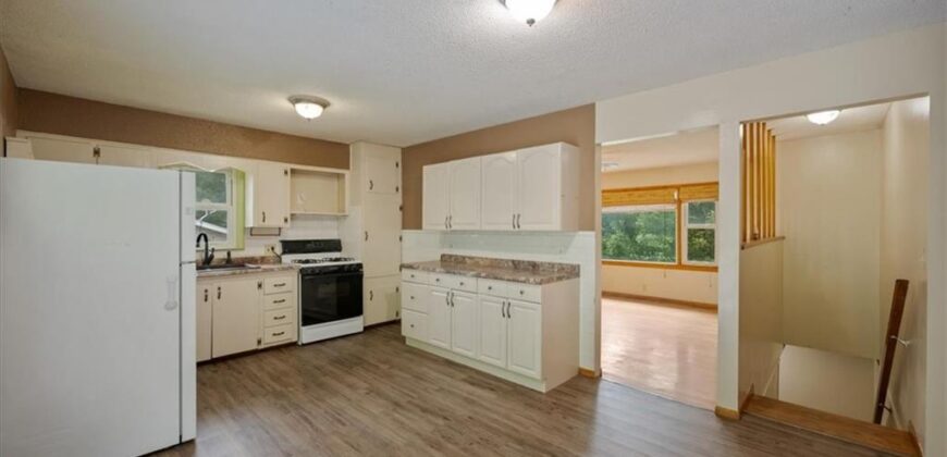 127 Collette Street, Excelsior Springs, MO 64024