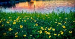 1109 NW South Shore Drive, Lake Waukomis, MO 64151