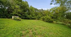 103 Ash Street, Excelsior Springs, MO 64024
