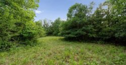 103 Ash Street, Excelsior Springs, MO 64024