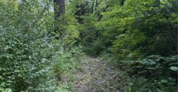 16610 NW 120th Street, Platte City, MO 64079