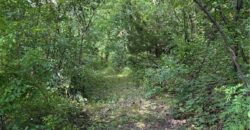 16610 NW 120th Street, Platte City, MO 64079