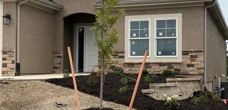 2121 Greenfield Point, Kearney, MO 64060