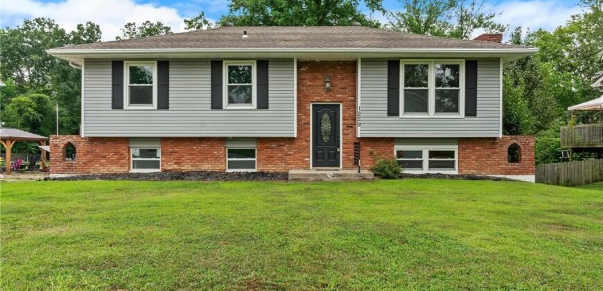 1229 Michele Drive, Excelsior Springs, MO 64024