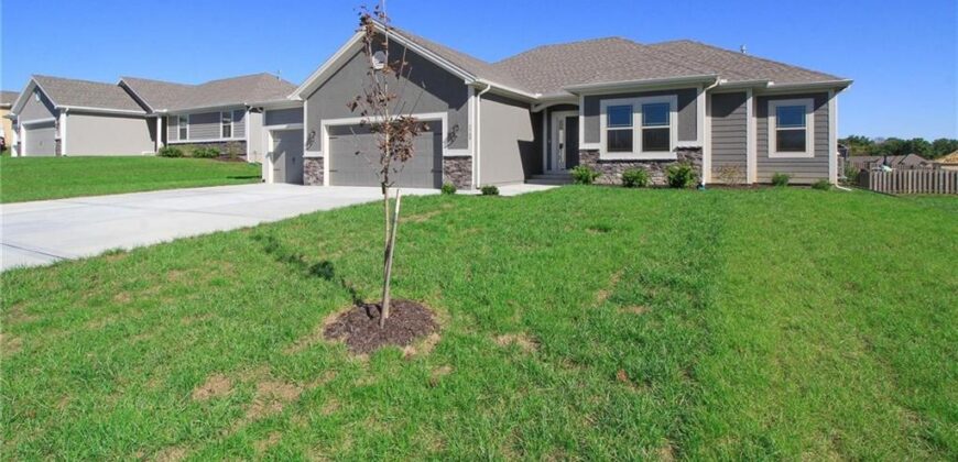 3316 NW 93rd Street, Kansas City, MO 64154
