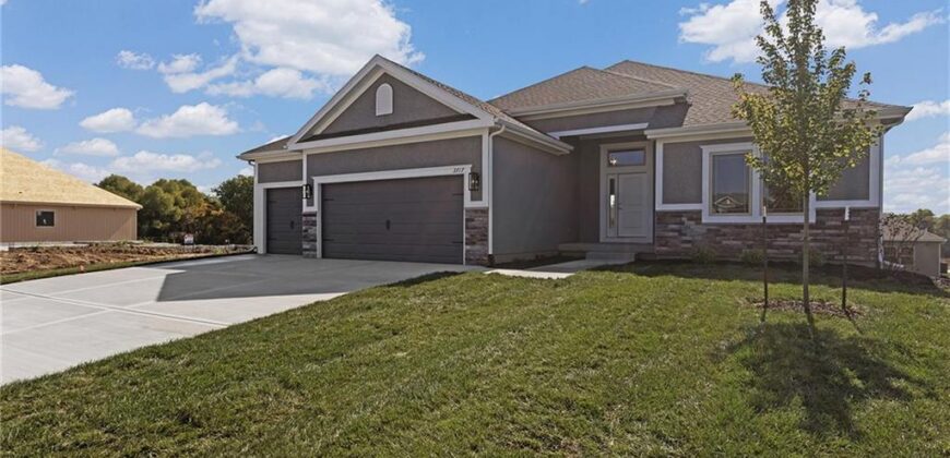 3311 NW 93rd Street, Kansas City, MO 64154