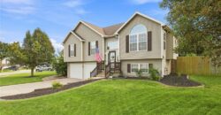 1319 NE 105th Terrace, Kansas City, MO 64155