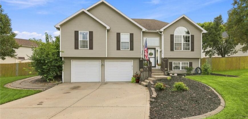 1319 NE 105th Terrace, Kansas City, MO 64155