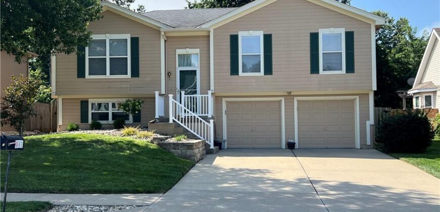 111 NE 103rd Street, Kansas City, MO 64155