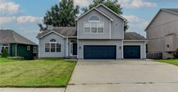 411 Shannon Avenue, Smithville, MO 64089