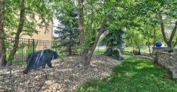 6600 NW 103RD Street, Kansas City, MO 64154