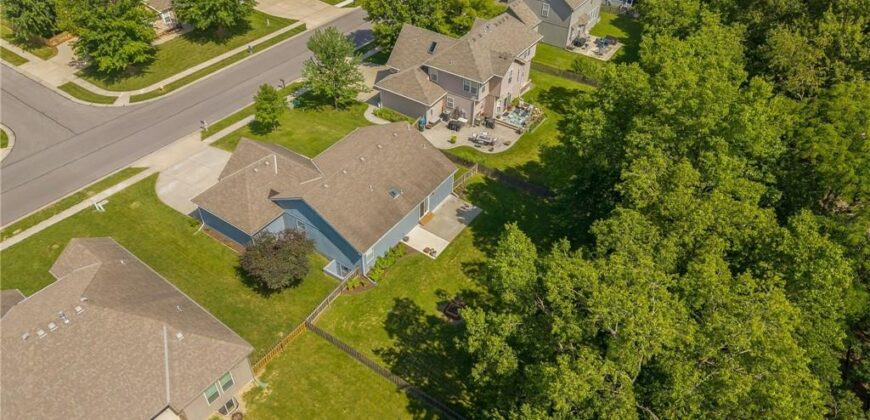 1309 Regency Drive, Kearney, MO 64060