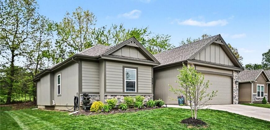 208 S MARIMACK Court, Kearney, MO 64060