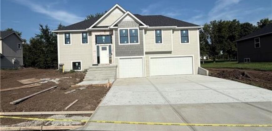 12406 Morgan Street, Excelsior Springs, MO 64024