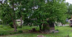 1213 Milwaukee Street, Excelsior Springs, MO 64024
