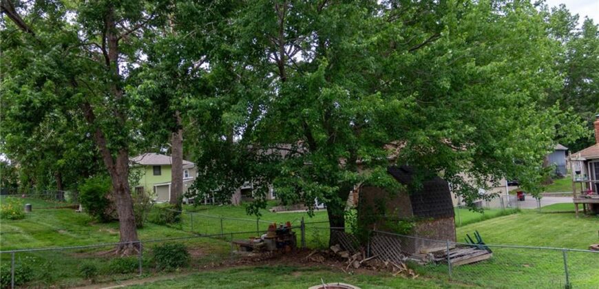 1213 Milwaukee Street, Excelsior Springs, MO 64024