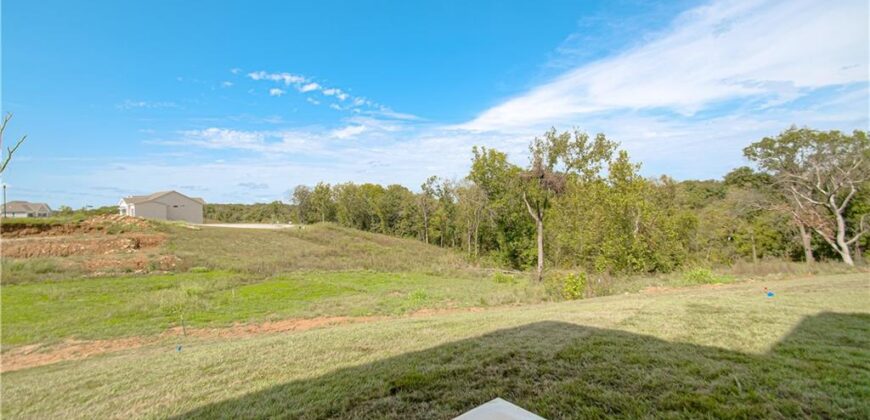 12480 Appaloosa Street, Platte City, MO 64079