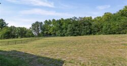 1006 Meadowbrook Drive, Kearney, MO 64060