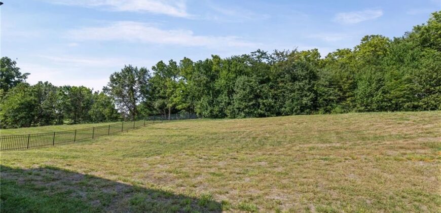 1006 Meadowbrook Drive, Kearney, MO 64060