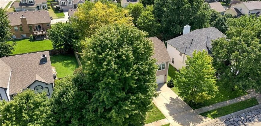 14613 Wicklow Street, Smithville, MO 64089