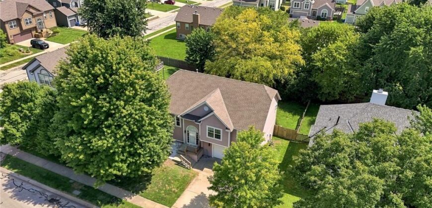 14613 Wicklow Street, Smithville, MO 64089