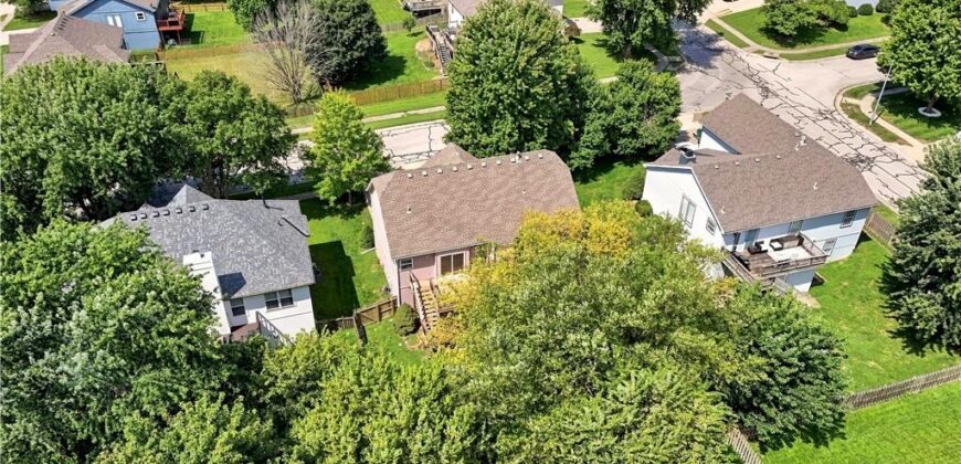 14613 Wicklow Street, Smithville, MO 64089