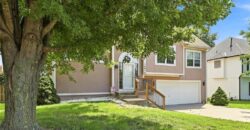 14613 Wicklow Street, Smithville, MO 64089