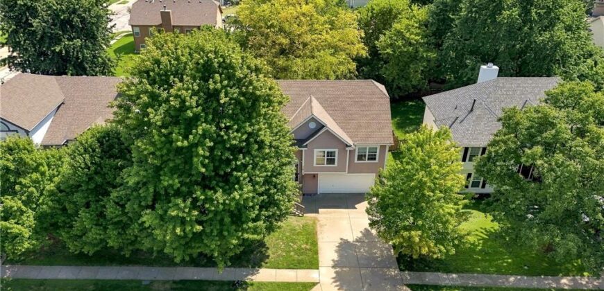 14613 Wicklow Street, Smithville, MO 64089
