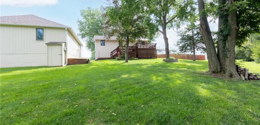 1207 Saint Paul Avenue, Excelsior Springs, MO 64024