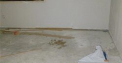 1125 Elizabeth Street, Liberty, MO 64068