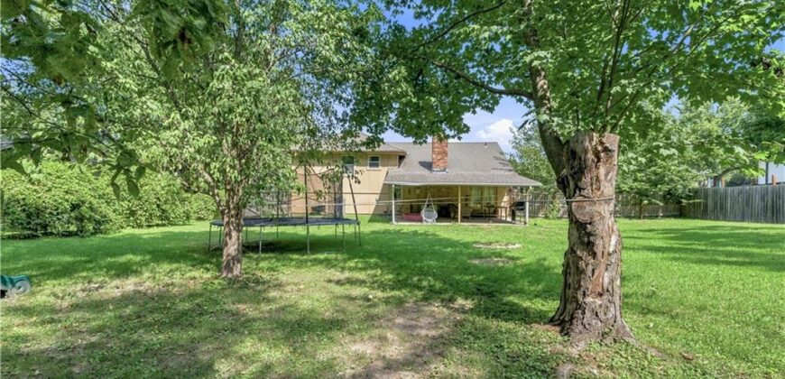 919 NE 112th Terrace, Kansas City, MO 64155