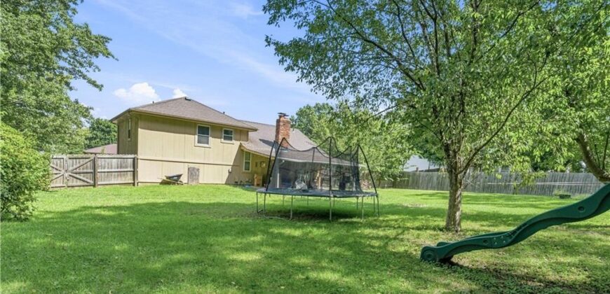 919 NE 112th Terrace, Kansas City, MO 64155