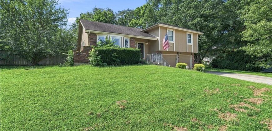 919 NE 112th Terrace, Kansas City, MO 64155