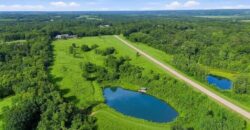 22350 Grass Pad Road, Platte City, MO 64079