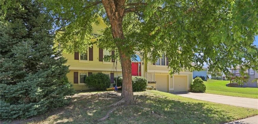 11305 N Holly Street, Kansas City, MO 64155