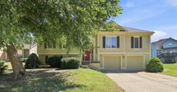 11305 N Holly Street, Kansas City, MO 64155