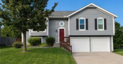 10636 N Holmes Street, Kansas City, MO 64155